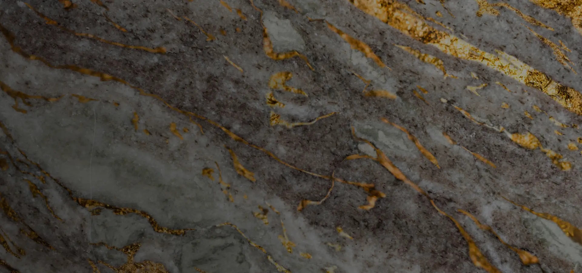 home banner image 2